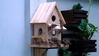 Make Most Beautiful Wooden Villa Bird House and Bird Feeder