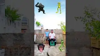 Head to Gorilla, Frog, Alien, Monkey - Dami to cosita dance new magic video