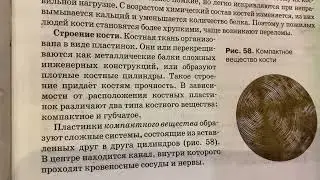 Биология 8 кл/М.Б.Жемчугова/Тема: Значение опорно-двигательного аппарата/01.11.22