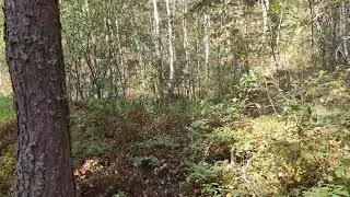 30 августа 2022 г.