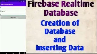 Creating and Inserting Data in Firebase Realtime Database