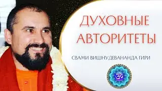 Есть ли авторитеты на духовном пути? | Свами Вишнудевананда гири
