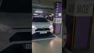 Егізімнің алғашқы жеке видеосы. Camry 75 2022 0км 36000$ & RAV4 2020.12 ай 4600км 31200$