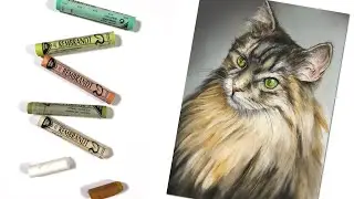 Pastel Drawing of a Cat - Time Lapse Lesson