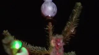 Amanda Brooks' Very Fungi Christmas Tree | Christmas in the Cotswolds