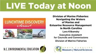Lunchtime Discovery: Navigating the Waters of Marine and Estuarine Resource Management in NC
