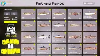 Русская рыбалка 4.🎣🦈 р. Яма 🐬🐬🐬...💦 РЫБАЛКА на СПИННИНГ от LATORSO 👀