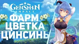 Genshin Impact - Фарм цветка ЦинСинь! Фарм для Сяо и Гань Юй!