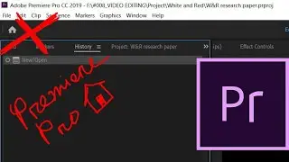 Remove Premiere Pro Home Button