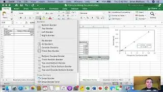 Excel 8 Basic Standard Curve