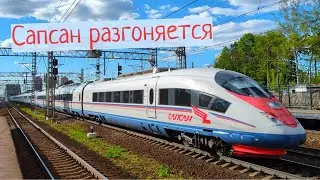 Длиннющий Сапсан разгоняется перед Москвой