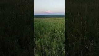 Для кого-то эта красота не имеет никакого значения 😍 12.07.2024