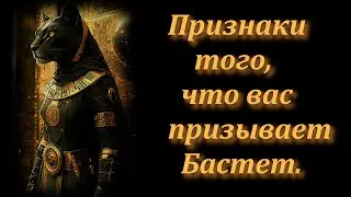 Признаки Того, Что Вас Призывает Бастет. Работа с Бастет.
