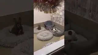 #моялюбовь