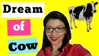 Cow Dream Meaning and interpretation? What it means