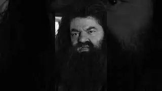 Умер Робби Колтрейн 💔 известный по роли Хагрида в Гарри Поттере. Палочки в небо. Мы любим тебя 💔🥺