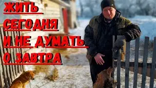 Заработали немного денюшек и тут же потратили. В кулацком хозяйстве всё сгодится. Жизнь в деревне.
