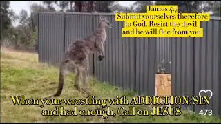 WRESTLING WITH ADDICTION? GO TO WAR IN JESUS MIGHTY NAME!
