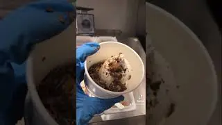 Day 3 of working at Dairy Queen // Learn how to make a blizzard! 