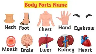 Different Body Parts Name | English | Learn Vocabulary | #trending #viral