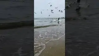 До скорых встреч, море🌊❤️|nst:mashka_mariya  