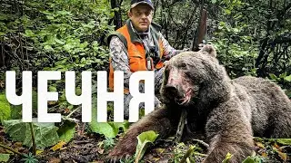 IDEAL BEAR HUNTING IN THE CHECHEN REPUBLIC!