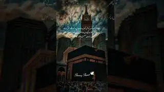 islamic video for WhatsApp status | true lines ❤️ | beautiful status | with islamic music 🎶 |Friday