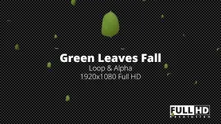 Green Leaves Fall HD - Videohive Motion Graphic Videos