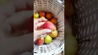 Как ЛОШАДЬ отвечает на вопросы