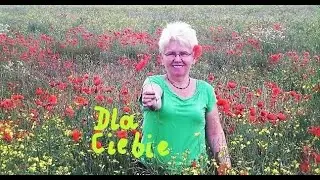 Gdzieś z daleka zakwitły kwiaty