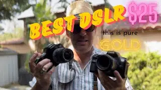 Cheap DSLR cameras in 2024. Nikon d50 vs Canon 450D