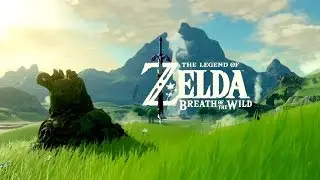 Botw Video