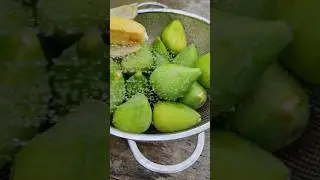 собака ест банан 