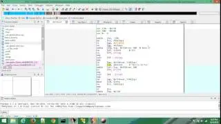 MIPS overflow 1