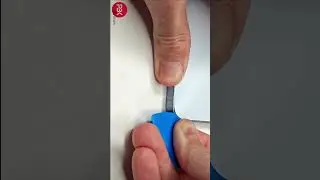 Samsung Galaxy A55 5G Back Cover Removal Teardown Disassembly ASMR 