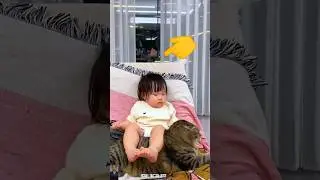 The end 😂😹 #pet#funnyshorts#viralshorts #animals#ytshorts