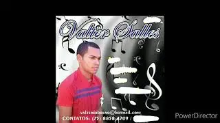 valter Salles lançamento 2021