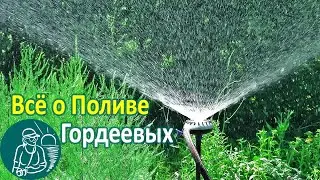 💧 Watering the Garden: a Sprinkler, a Hose, a Pump for Watering in the Heat with Cold Water