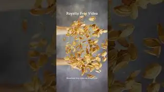 Royalty Free Pumpkin seeds slow motion video. Download it on Kmeel.com. No copyright video 