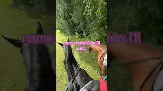bet you can’t