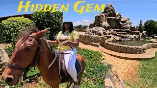 This Is Why You Should Visit NAIROBI KENYA 🇰🇪 | Inside THE LOBO VILLAGE ELDORET(City of Champions)🏃