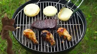 Let's Have a B.B.Q! | Sing and Play Blue Adventures | Simple Skits and Songs for Kids