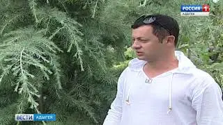 Сад Руслана Хупова
