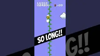 The LONG BEANSTALK in Super Mario Bros. (NES)!!