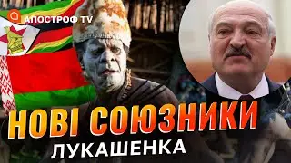 ЛУКАШЕНКО В АФРИЦІ: картопля в мундирі прибула до Зімбабве / Апостроф TV