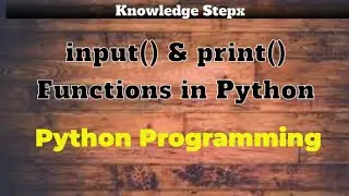 #3 Input and Output in Python | input() & print() Functions in Python | Python Programming