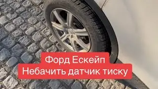 Форд ЕСКЕЙП не бачить датчик тиску Шин