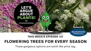 Episode 157: Flowering trees for every season