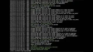 Odyssey: Odoo Data Migration Tool