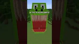 КТО СМОЖЕТ ДОЛЬШЕ УВОРАЧИВАТЬСЯ